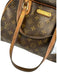Louis Vuitton Brown Print Coated Canvas Monogram Shoulder Bag Dome Vintage Bag Brown Print / PM