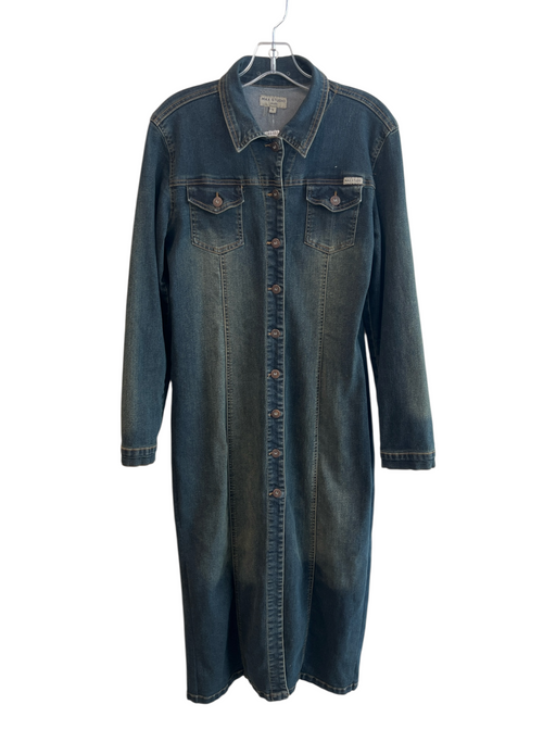 Max Studio Jeans Size Small Dark denim Cotton Seam Detail Long Sleeve Dress Dark denim / Small