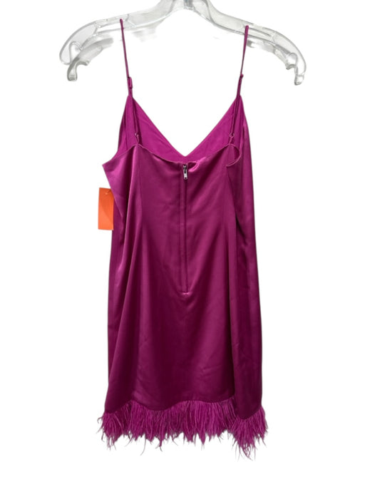 Cami NYC Size 2 Fuchsia Polyester Spaghetti Strap V Neck Princess Seams Dress Fuchsia / 2