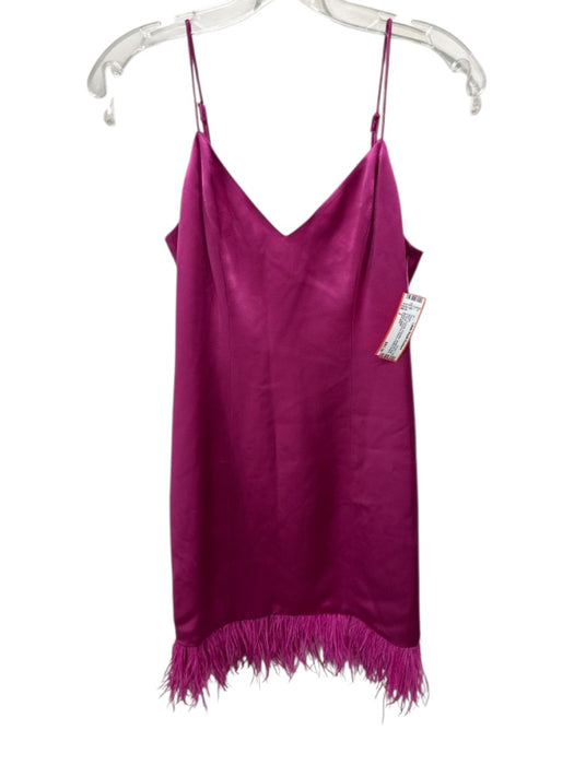 Cami NYC Size 2 Fuchsia Polyester Spaghetti Strap V Neck Princess Seams Dress Fuchsia / 2