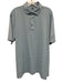 Peter Millar Size L Green & Purple Synthetic Striped Polo Men's Short Sleeve Green & Purple / L