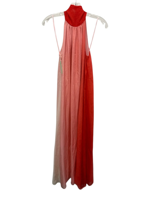 Christy Lynn Size XS Red & Pink Silk Sleeveless Gradient Neck Tie Maxi Dress Red & Pink / XS