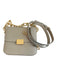 Frame Gray Leather Gold hardware Chain Strap Magnetic Close Bag Gray / S