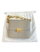 Frame Gray Leather Gold hardware Chain Strap Magnetic Close Bag Gray / S