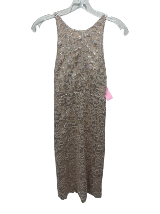 Alice + Olivia Size 2 Beige & Silver Polyester Metallic Trim Mesh Dress Beige & Silver / 2