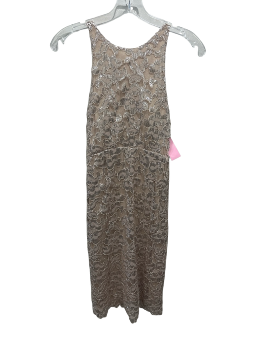 Alice + Olivia Size 2 Beige & Silver Polyester Metallic Trim Mesh Dress Beige & Silver / 2