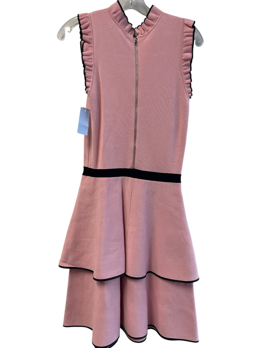 Parker Size Medium Pink Rayon Blend Ruffle Detail Sleeveless Back Zip Dress Pink / Medium