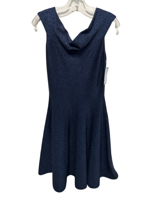 Ted Baker Size XS Navy Blue Viscose Blend Metallic Thread Glitter Back Zip Dress Navy Blue / XS