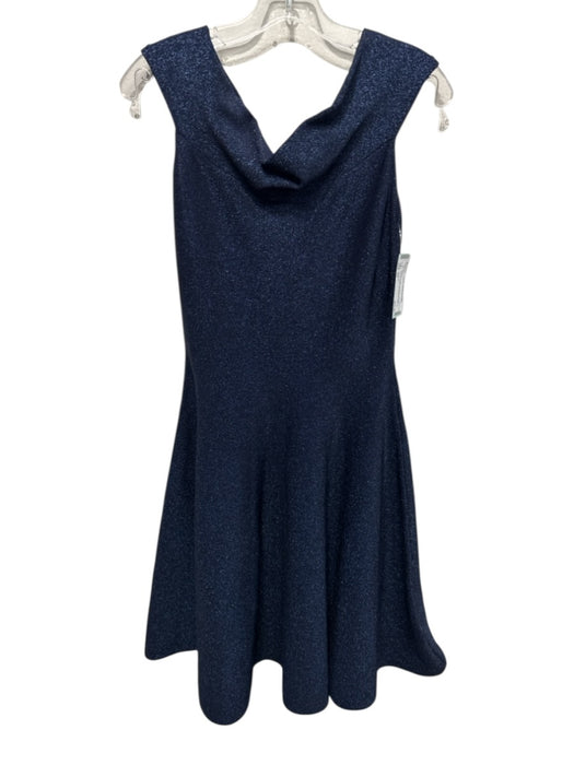 Ted Baker Size XS Navy Blue Viscose Blend Metallic Thread Glitter Back Zip Dress Navy Blue / XS