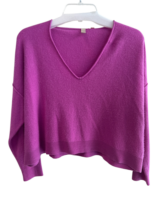 Pilcro Size Small Purple Cashmere V Neck Long Sleeve Rolled Seam Top Purple / Small