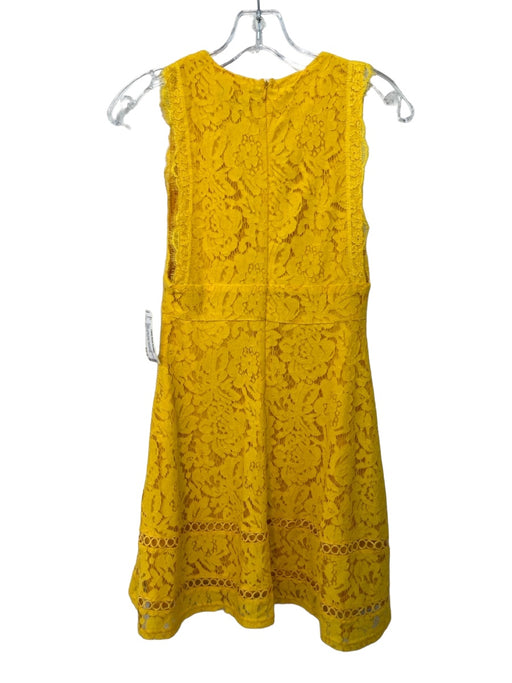 Lulus Size XS Yellow Cotton Blend Embroidered Sleeveless Back Zip Dress Yellow / XS