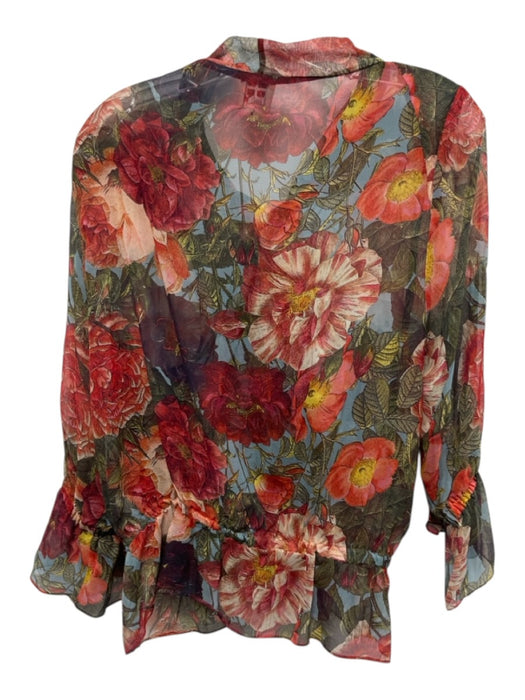 Haute Hippie Size XS Red, Orange & Green Silk Long Sleeve Floral V Neck Top Red, Orange & Green / XS