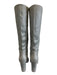 Paige Shoe Size 6.5 Silver Tone Leather Pointed Toe Snake Embossed Boots Silver Tone / 6.5