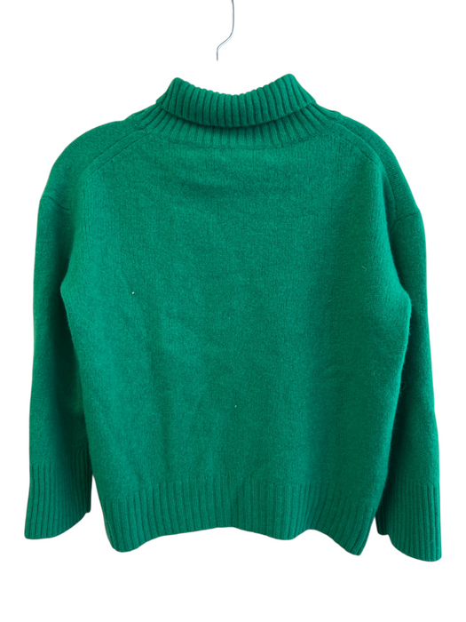 BR Size M Green Cashmere Long Sleeve Knit turtle neck Cropped Sweater Green / M