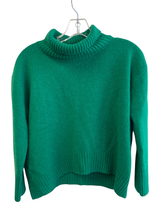 BR Size M Green Cashmere Long Sleeve Knit turtle neck Cropped Sweater Green / M