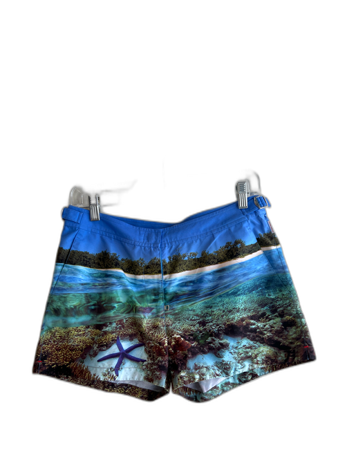 Orlebar Brown Size 4 Blue & Green Polyester Low Rise Beach Scene Zip Fly Shorts Blue & Green / 4