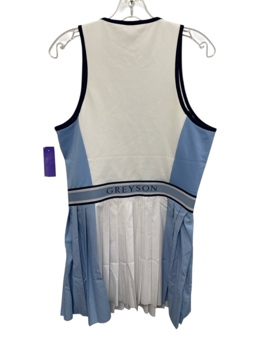 Greyson Size Large Blue & White Polyester Blend Sleeveless Striped Pleated Dress Blue & White / Large