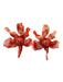 Lele Sadoughi Orange Resin Post Back Flowers Rhinestones Earrings Orange