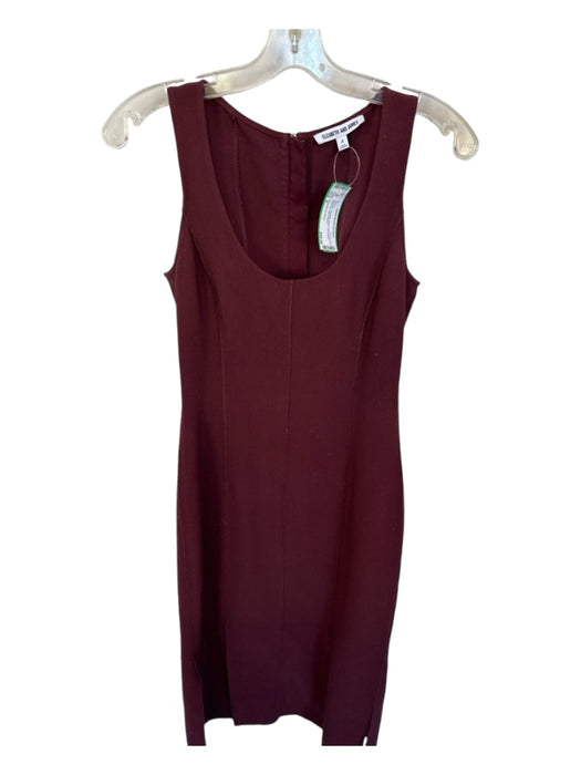 Elizabeth & James Size 4 Maroon Polyester Blend Sleeveless Back Zip Midi Dress Maroon / 4