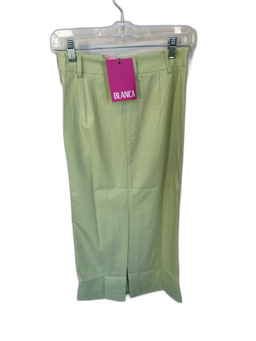 Blanca Size XS/S Sage green Polyester Blend High Waist Side Zip Midi Skirt Sage green / XS/S