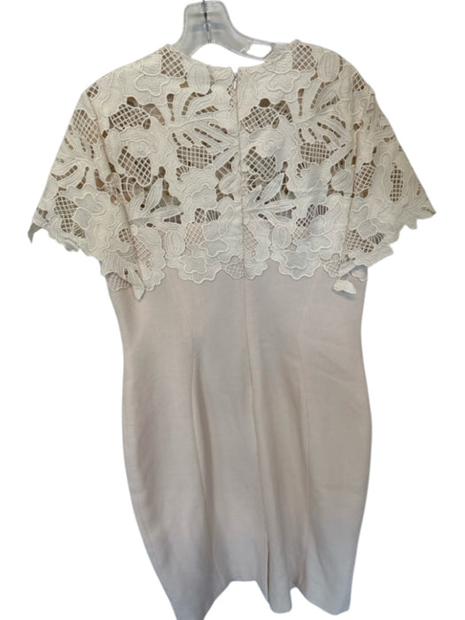 Lela Rose Size 16 Cream & Blush Lace Top Back Zip Midi Dress Cream & Blush / 16