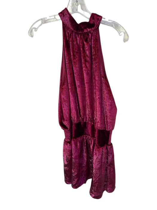 Ramy Brook Size M Burgandy Velvet Sleeveless Smocked Waist high neck Dress Burgandy / M