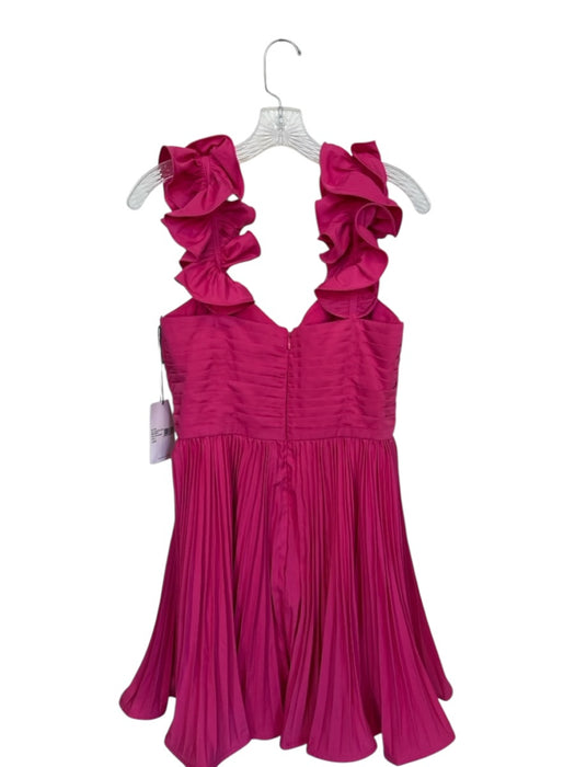 AMUR Size 8 Fushcia Polyester Blend Ruffle Strap Pleated Back Zip Mini Dress Fushcia / 8
