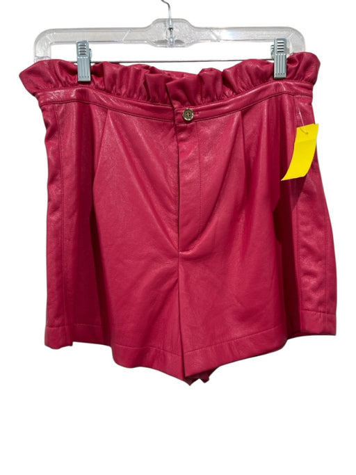 Emily McCarthy Size S Hot pink Polyester Pleather Zip Fly Paper Bag Waist Shorts Hot pink / S