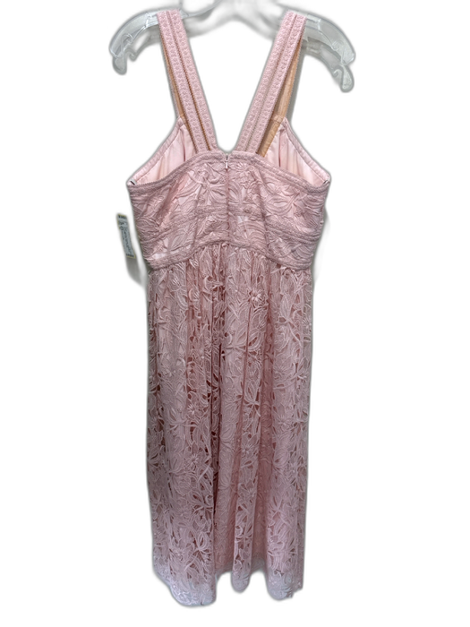ML Monique Lhuillier Size 10 Light Pink Polyester Sleeveless Lace Detail Dress Light Pink / 10