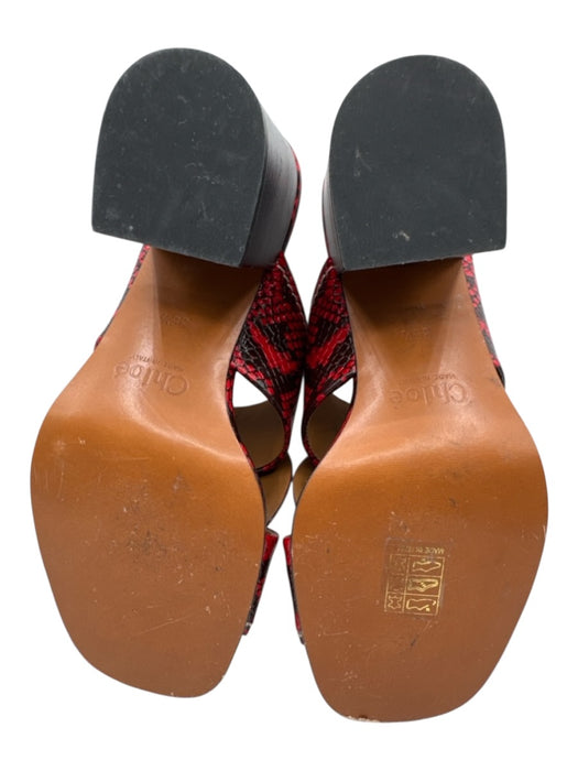 Chloe Shoe Size 36.5 Red & Black Leather Square Toe Snake Print Mule Sandals Red & Black / 36.5