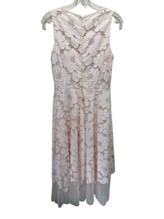 Rickie Freeman for Teri Jon Size 4 Pink Nylon & Polyester Mesh Floral Maxi Dress Pink / 4