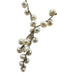 No Brand Silver & Pearl 925 Beaded Pearls silver hardware Cluster Necklace Silver & Pearl