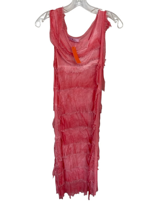 Gigi Moda Size 4 Pink ruffles Raw Hem Maxi Dress Pink / 4