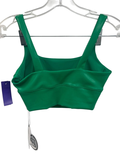 Beach Riot Size XS Green Nylon Blend High Rise Shimmer Athletic Pant Set Green / XS