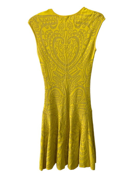 RVN Size S Yellow Viscose Knit Mesh Overlay Cap Sleeve Fit & Flare Dress Yellow / S