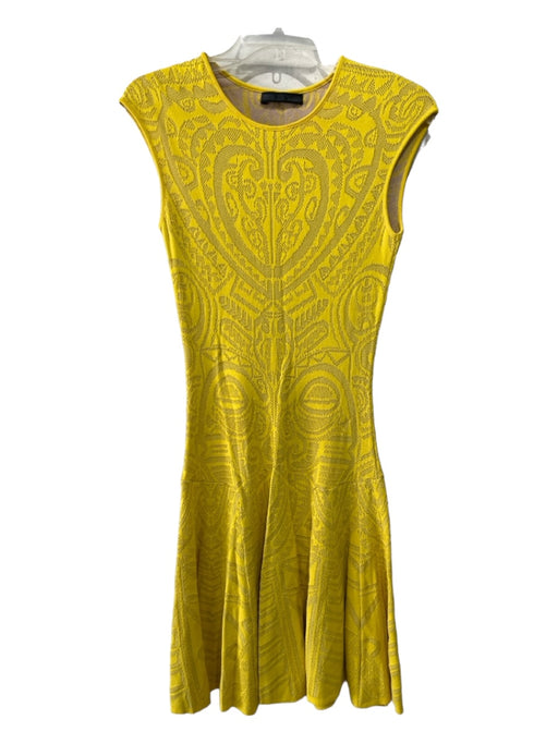 RVN Size S Yellow Viscose Knit Mesh Overlay Cap Sleeve Fit & Flare Dress Yellow / S