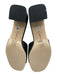 Larroude Shoe Size 9.5 Black Leather Mule Block Heel Sandals Black / 9.5