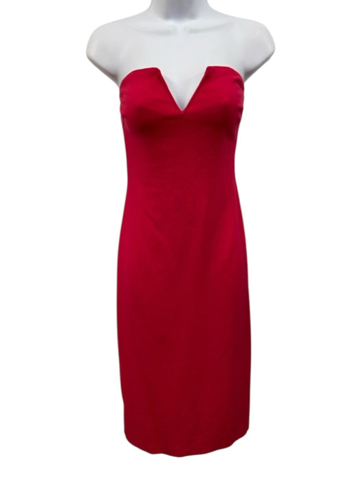 Ramy Brook Size 4 Hot pink Viscose Strapless Back Zip Dress Hot pink / 4