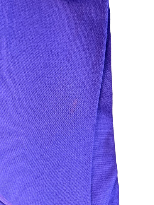 Red Valentino Size 4 Purple Acetate Blend Button Down Ruffle Detail Skirt Purple / 4