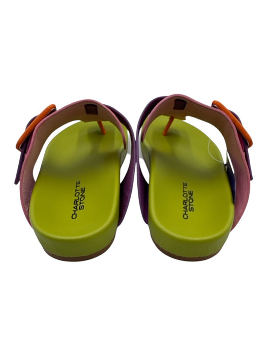 Charlotte Stone Shoe Size 10 Green & Multi Leather Color Block Buckle Sandals Green & Multi / 10