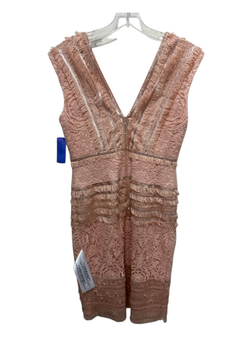 Tadashi Shoji Size 4 Blush Pink Rayon Sleeveless Crochet Lace Fringe Dress Blush Pink / 4