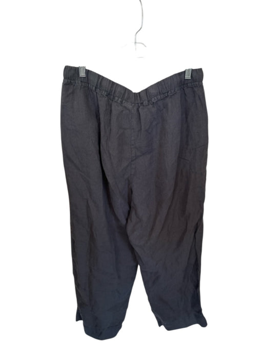 Parachute Size 1X Charcoal Linen Drawstring Front Pockets Balloon Leg Pants Charcoal / 1X