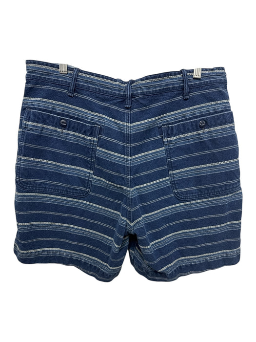 RRL Size 34 Blue Cotton Striped Button Fly Men's Shorts Blue / 34