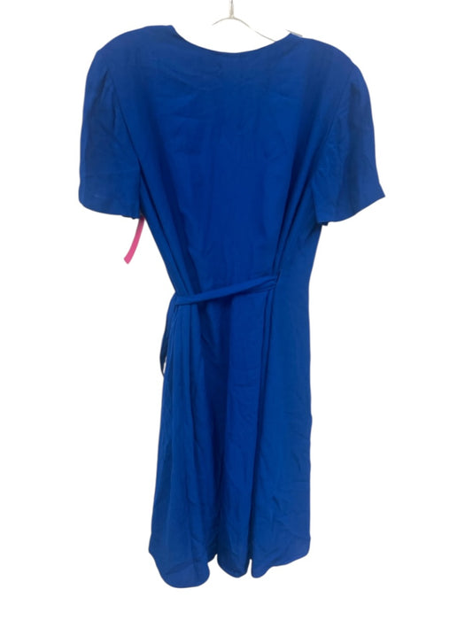 Diane Von Furstenberg Size 4 Blue Viscose Short Sleeve Wrap V Neck Dress Blue / 4