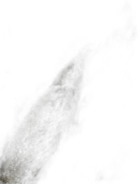 Restoration Hardware Gray & Black Acrylic Faux Fur Wrap scarf Gray & Black