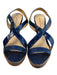 Alexandre Birman Shoe Size 9 Blue Python Open Toe & Heel Criss Cross Shoes Blue / 9