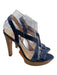 Alexandre Birman Shoe Size 9 Blue Python Strappy Snake Skin Open Toe Sandals Blue / 9