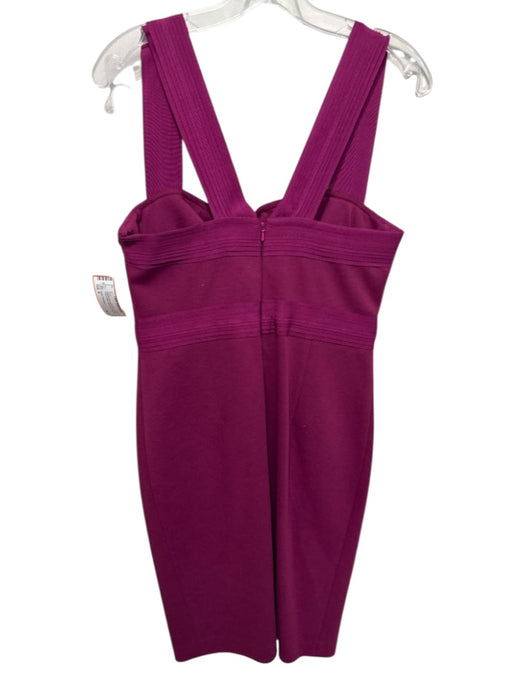 Robert Rodriguez Size 8 Magenta Pink Acrylic Blend Back Zip Pintuck Detail Dress Magenta Pink / 8