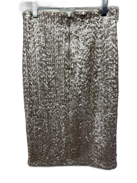 Alice + Olivia Size 4 Champagne Polyester Blend Sequined Back Zip Skirt Champagne / 4