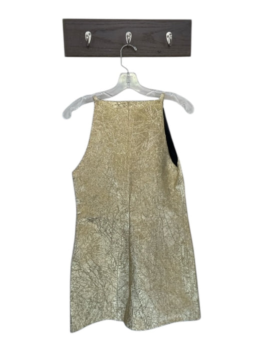 Zara Size S Gold Polyester Sleeveless Metallic Back Zip Dress Gold / S